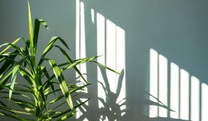 sensori di movimento