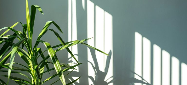 Quali sensori di movimento scegliere per proteggere la casa