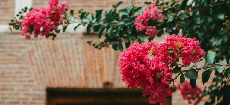 Telecamera senza fili da esterno: a cosa serve e quale acquistare